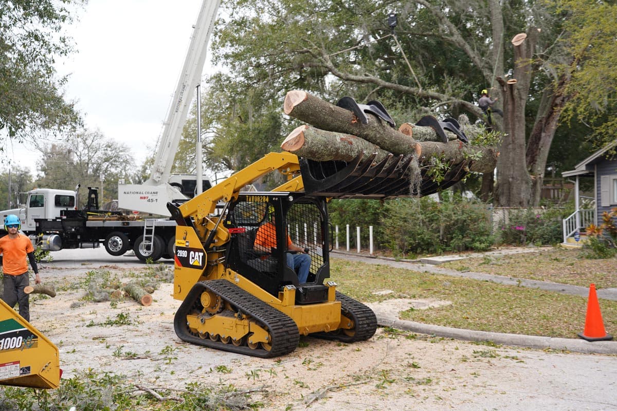 Branch Land and Tree Service LLC