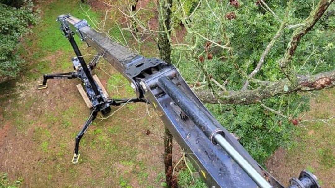 Dirty Dawgz Tree Service