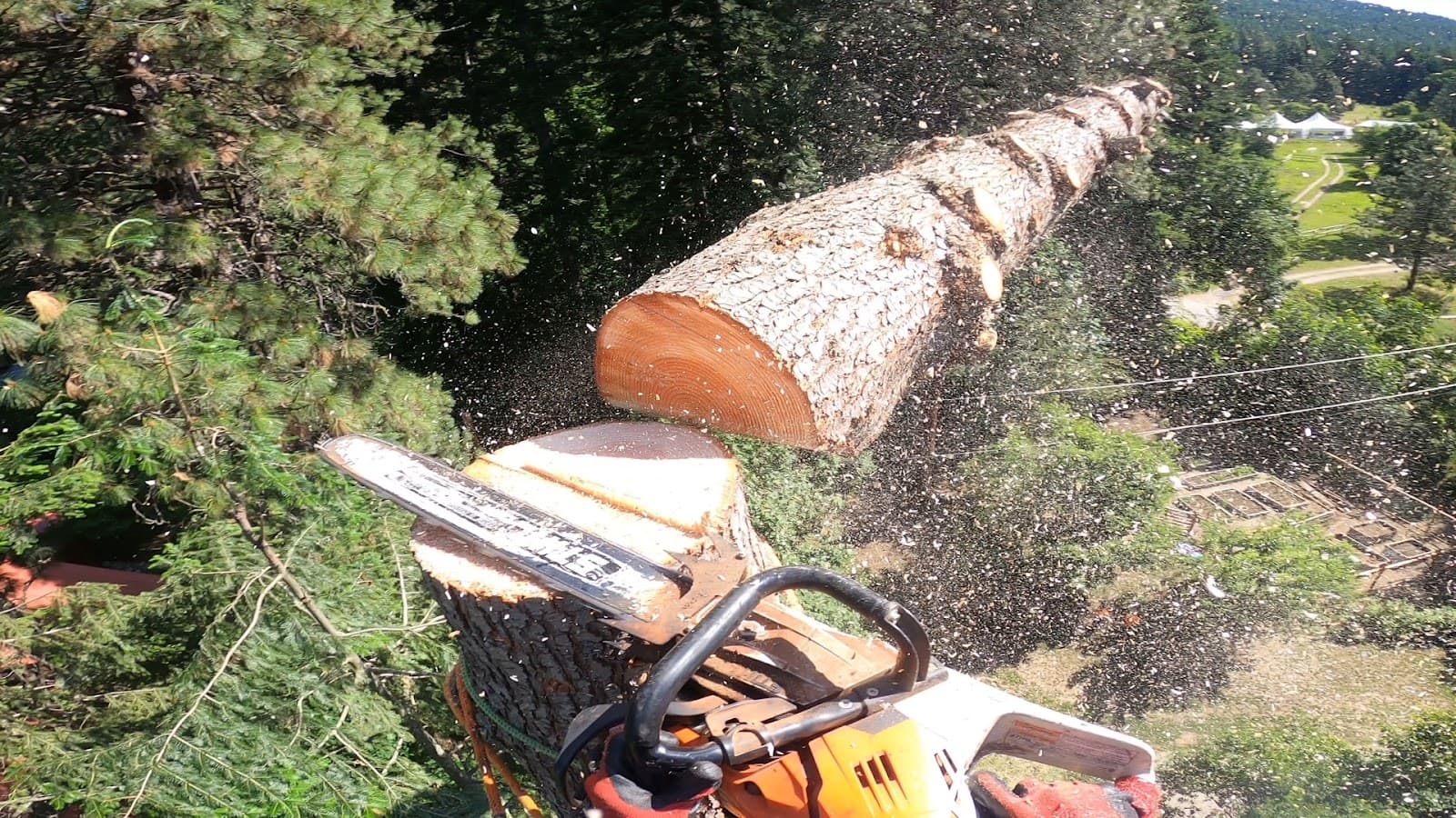 Summit Tree Care LLC