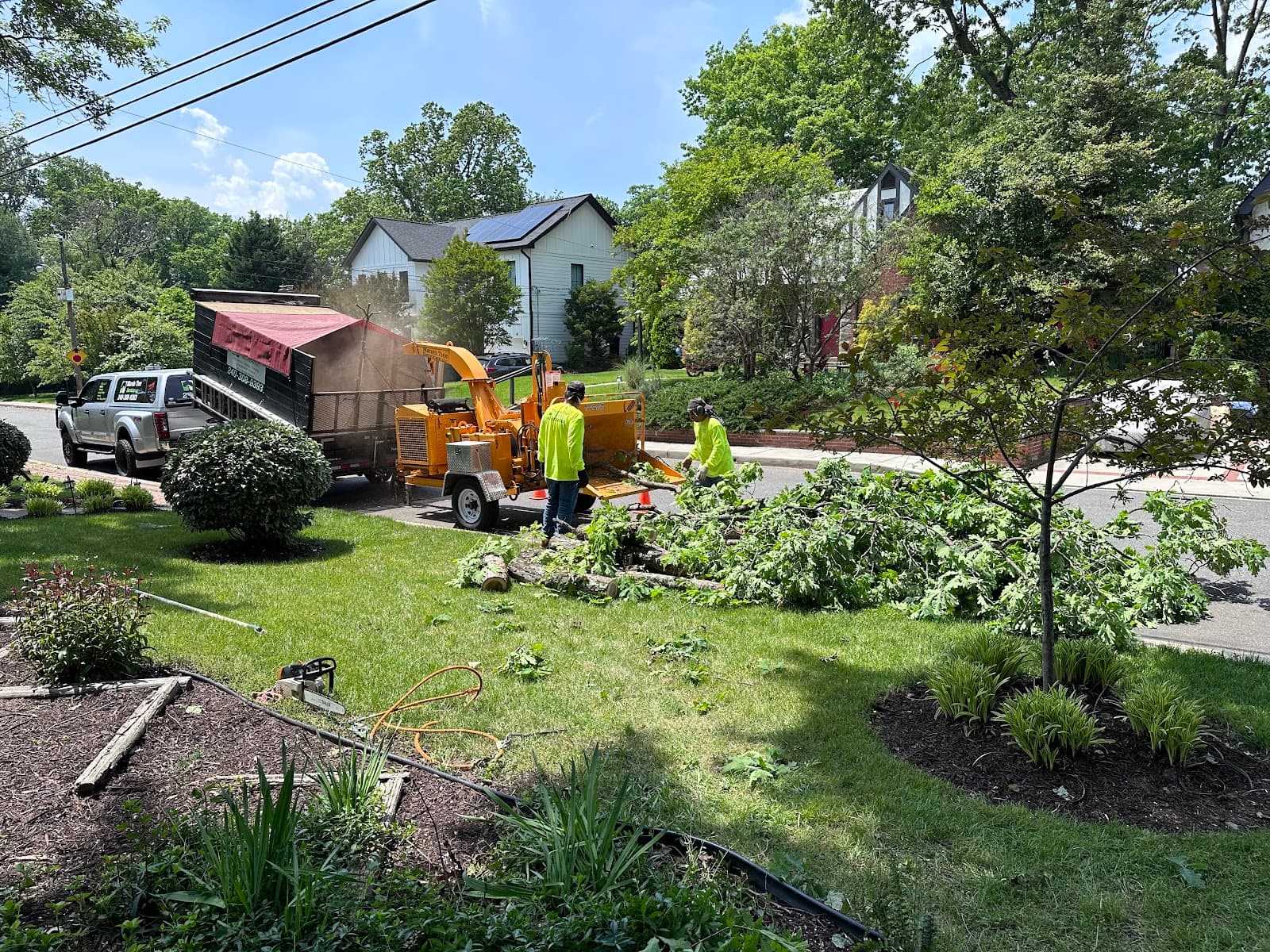 Marvin Tree Services LLC