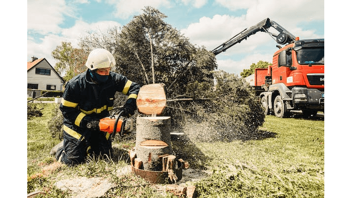 W G tree service LLC