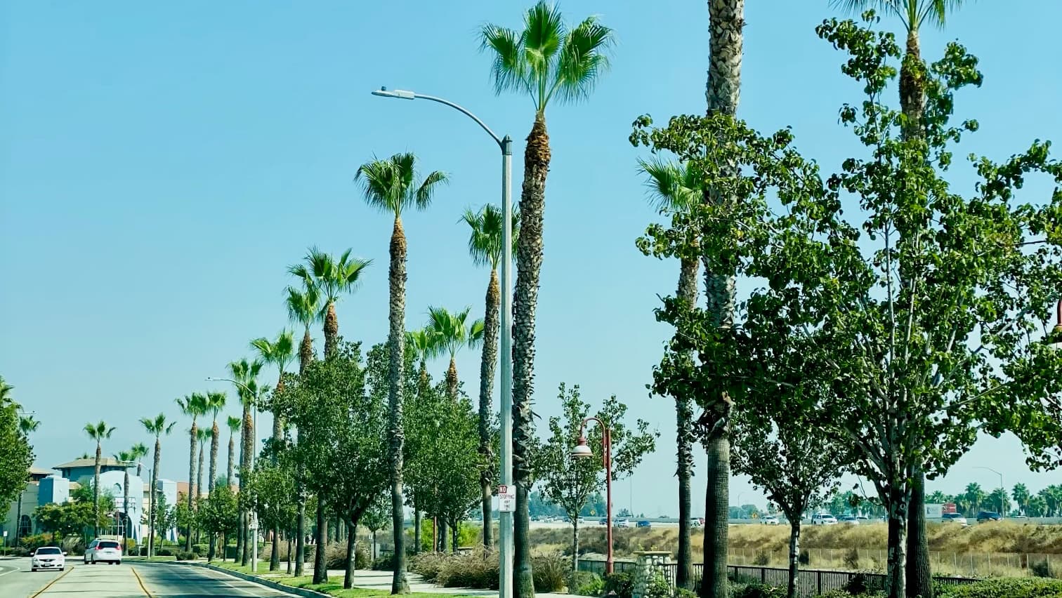 Tree Service of Rancho Cucamonga