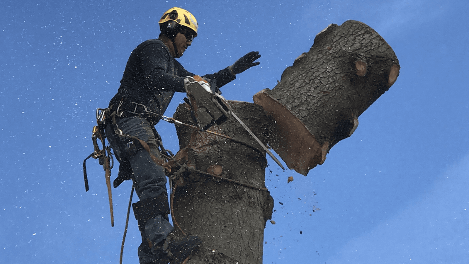 Reyes Tree Service