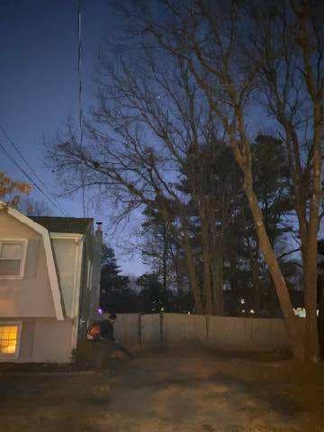 O'Reilly Tree Service