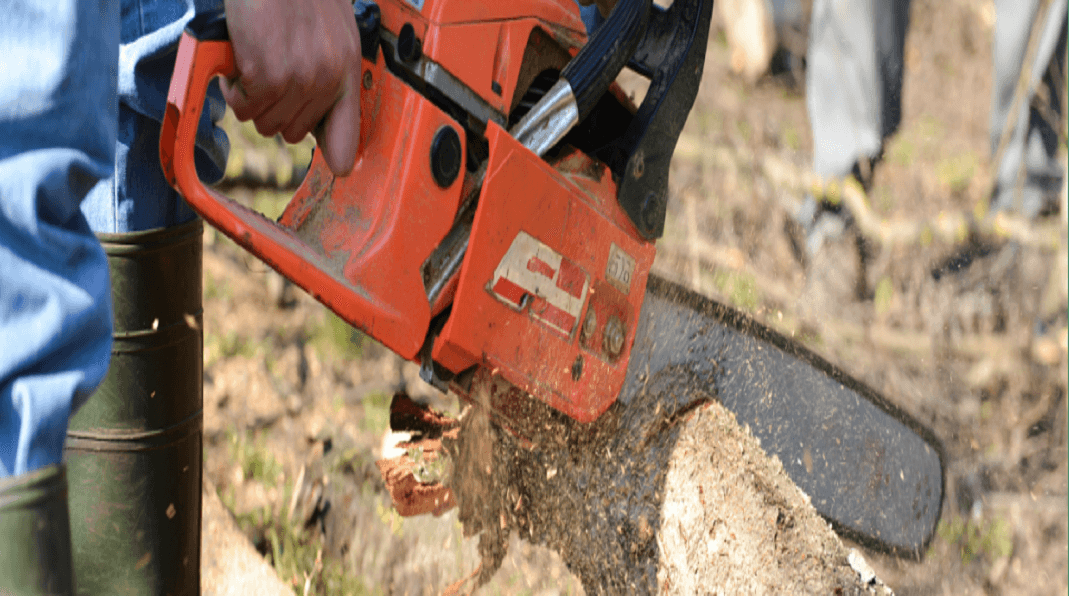 Craig's Tree Service