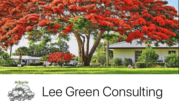 Lee Green Consulting LLC