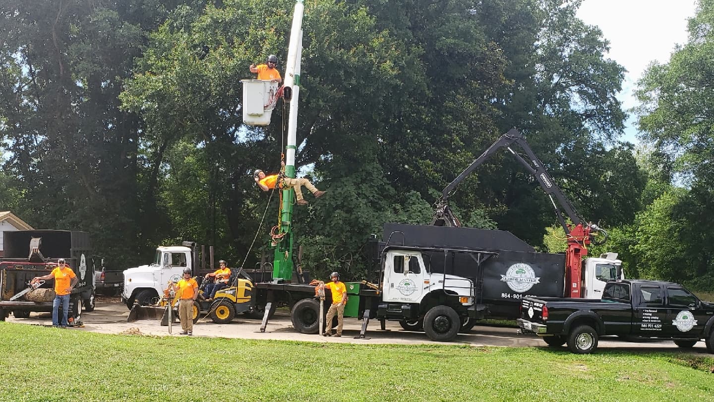 Arbor Master Tree Care LLC