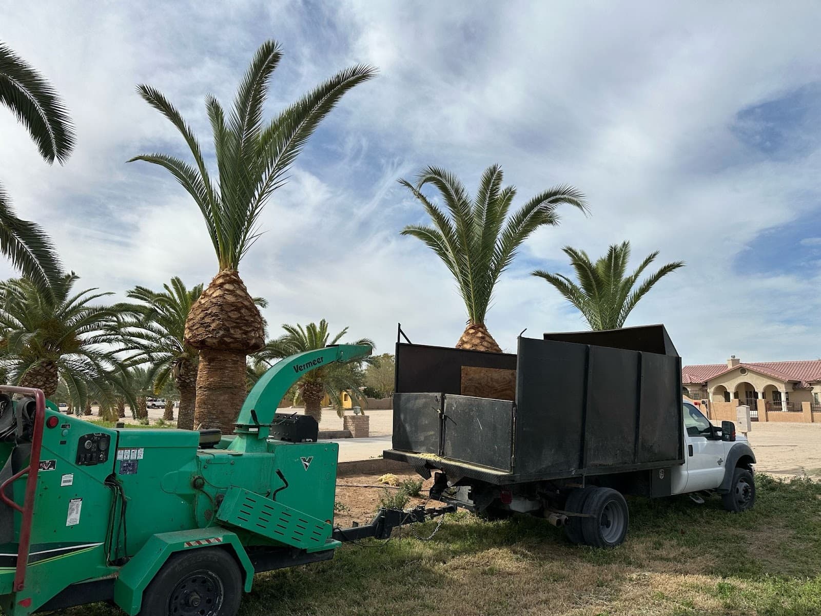 Adolfo's Tree Services