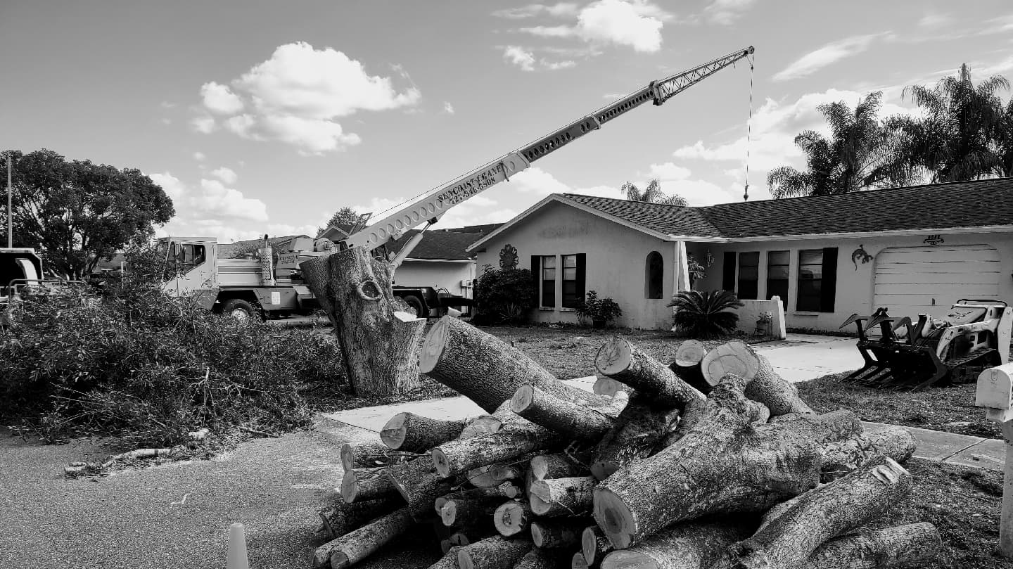 Veteran Tree Service