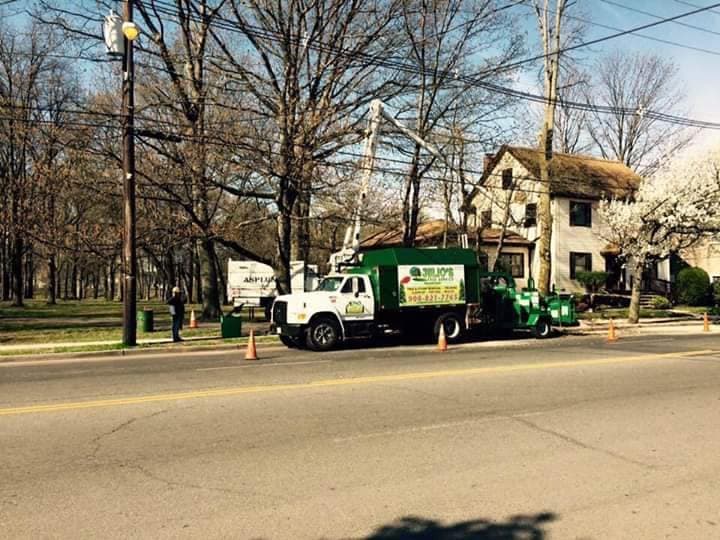 Julio's Tree Services LLC