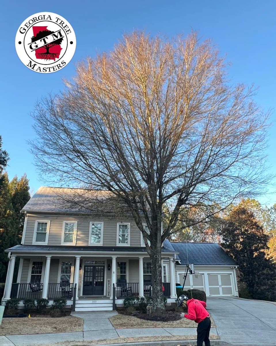 Georgia Tree Masters