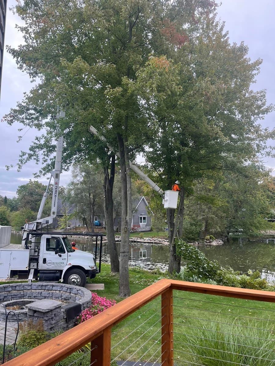 Arbor Master Tree Service Inc