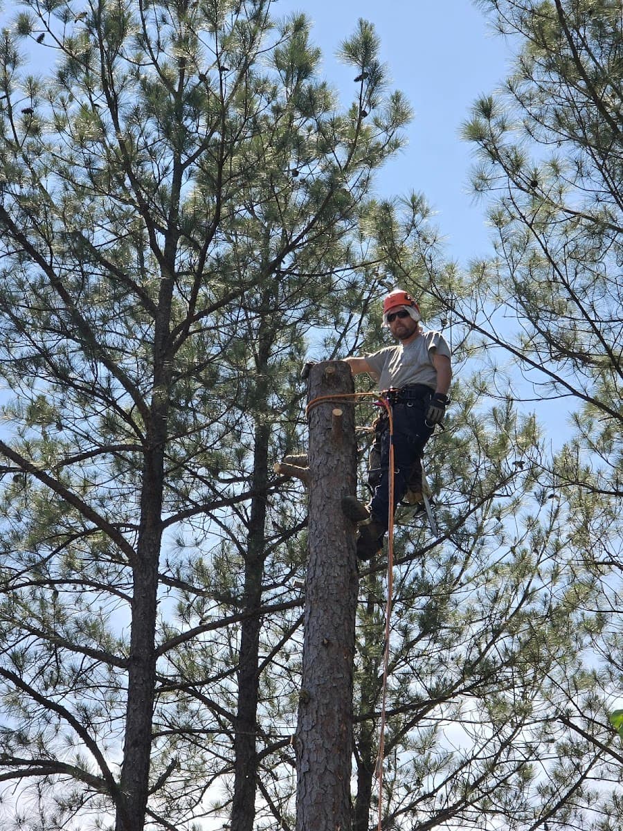 Newton Stump Grinding LLC
