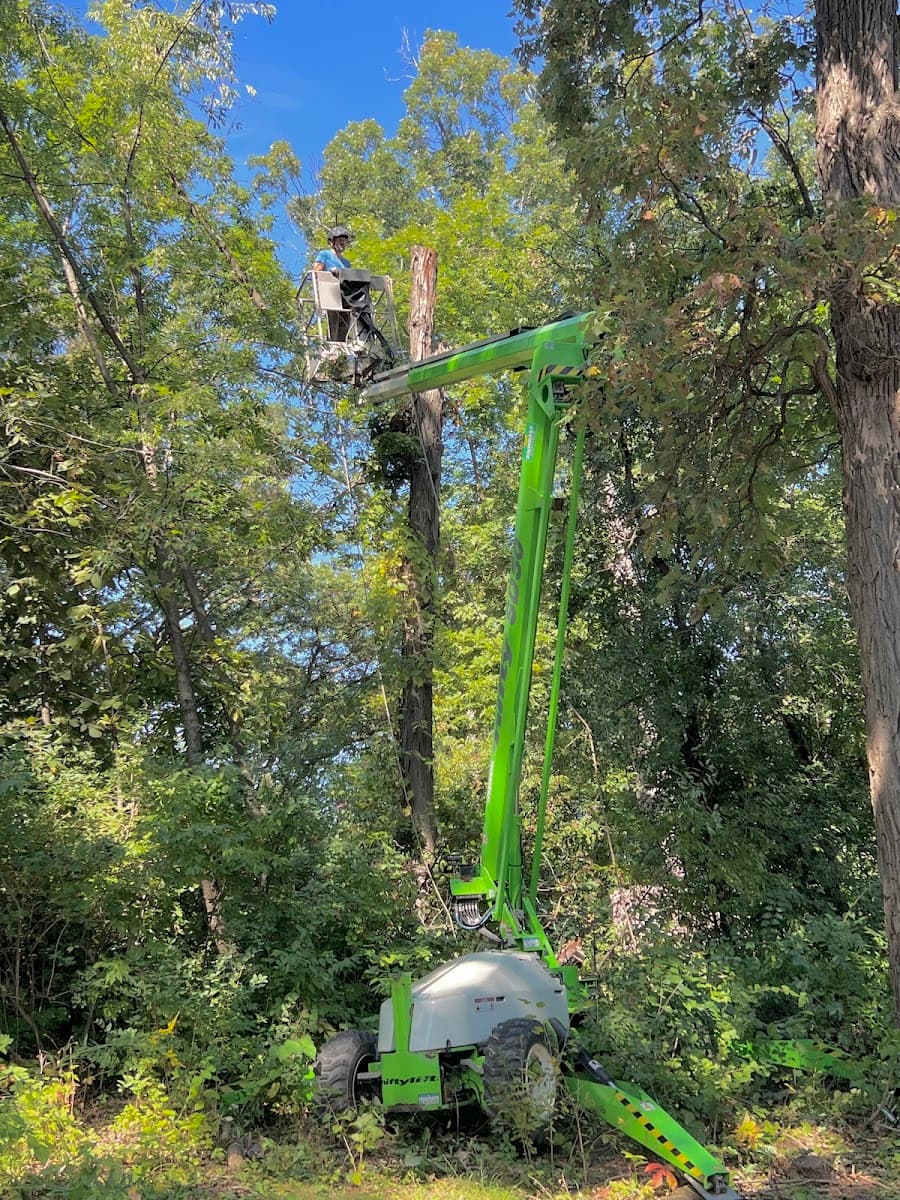 Tree & Leaf Tree Care