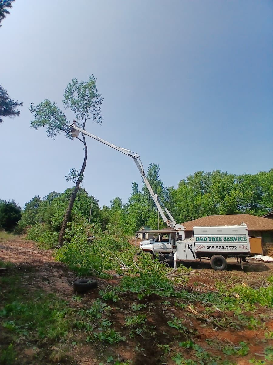 D&D Tree Service