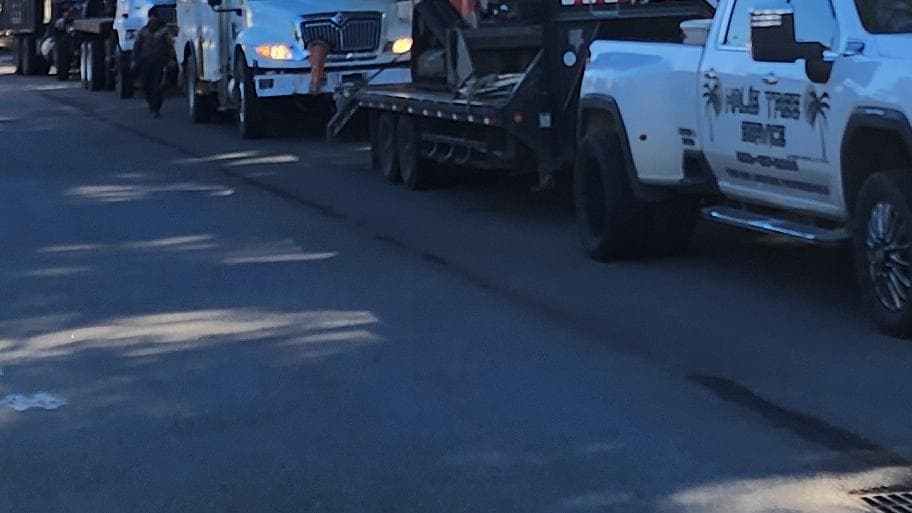 Hall's Tree Services