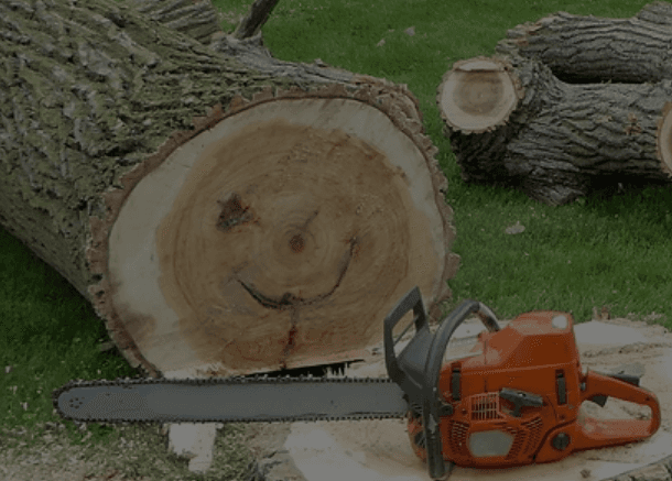 Dendys Landscaping & Tree Removal
