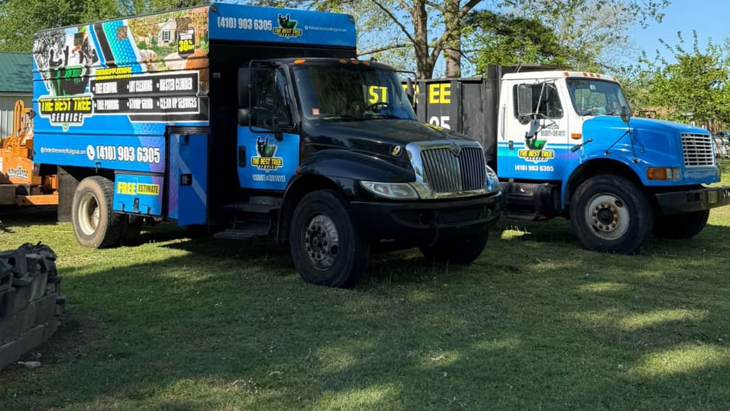 THE BEST TREE SERVICE