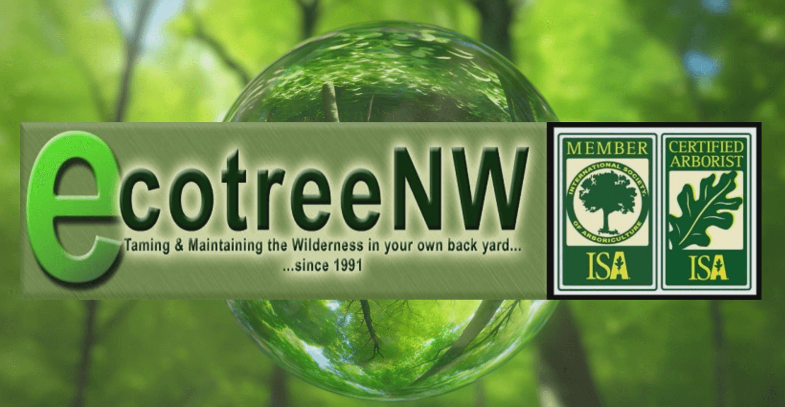 EcoTreeNW Inc