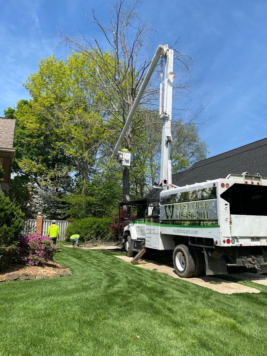 West Tree Service