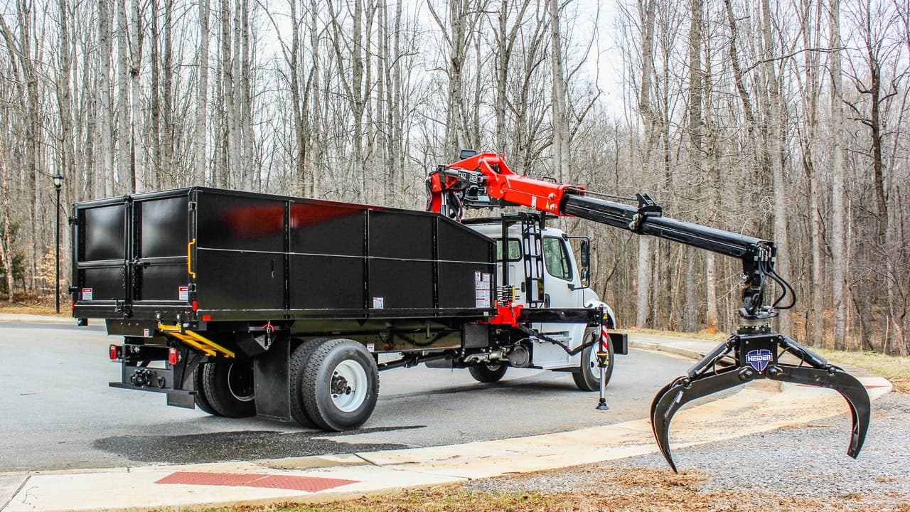 American Tree Dayton