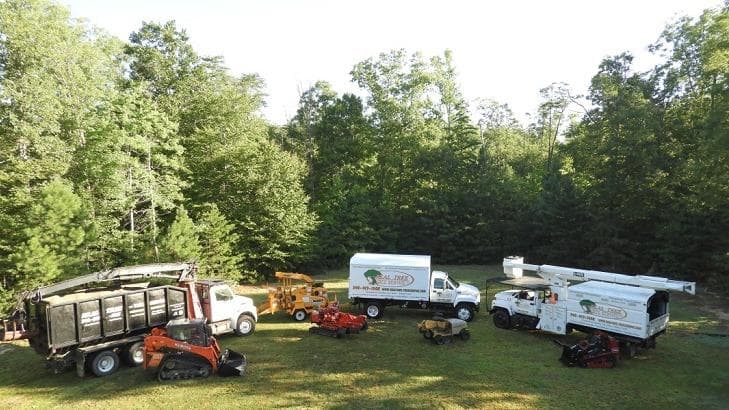 Real Tree-Tree Service