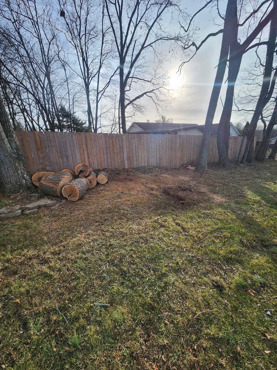 Capital tree service and landscape