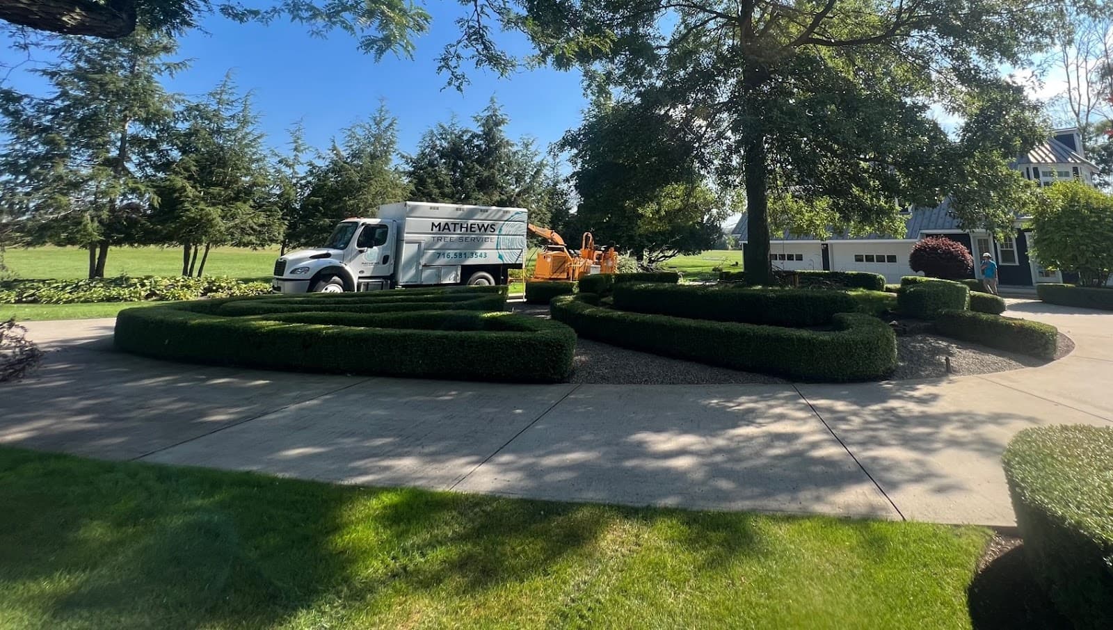 Mathews Tree Service