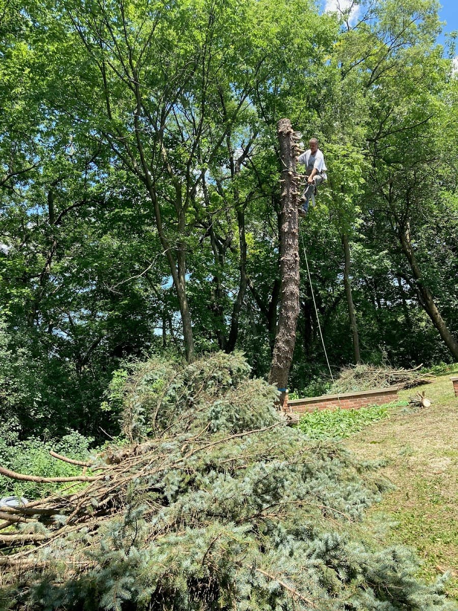 Beaver Tree Specialists, Inc.