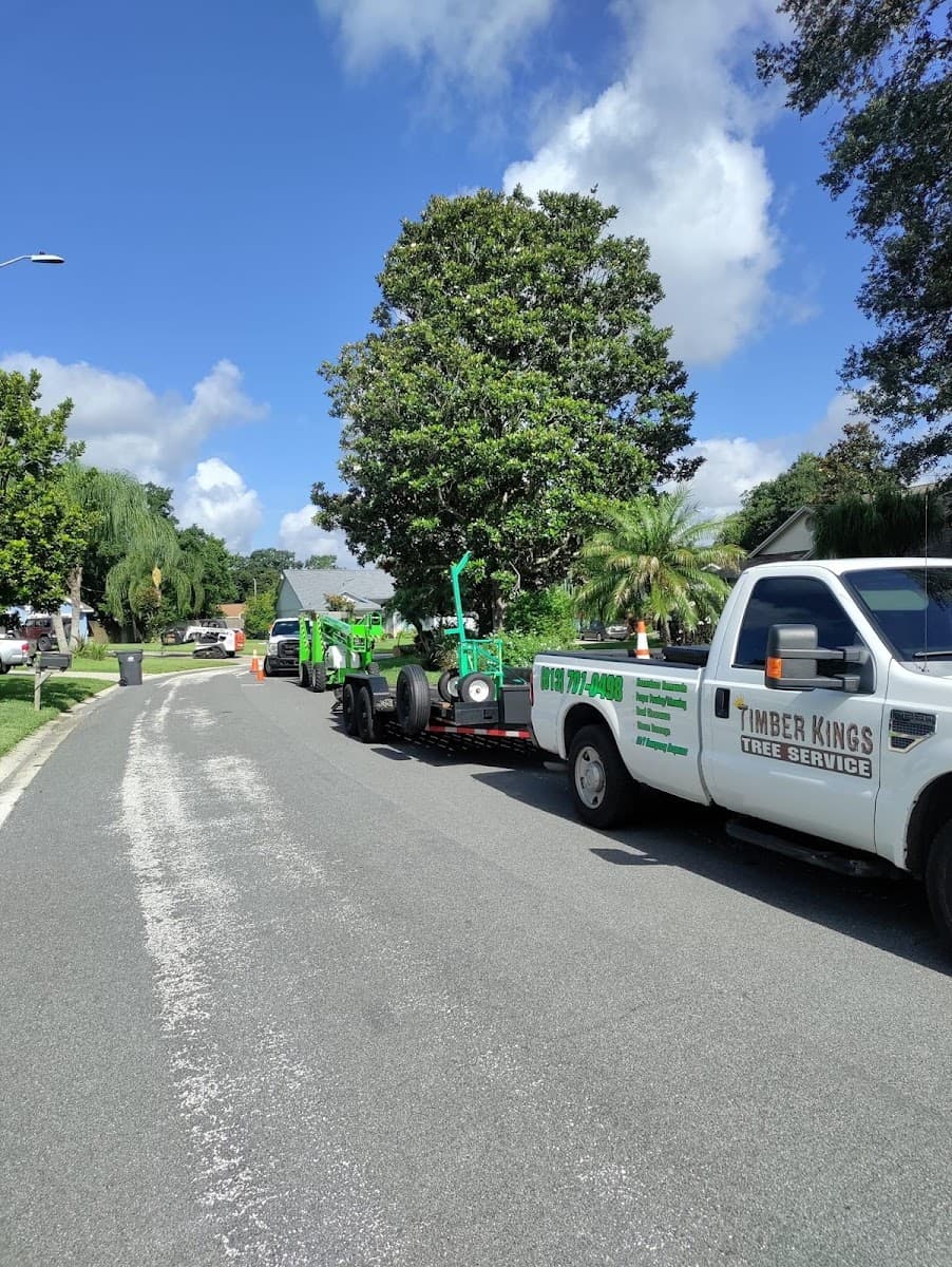 Timber Kings Tree Service