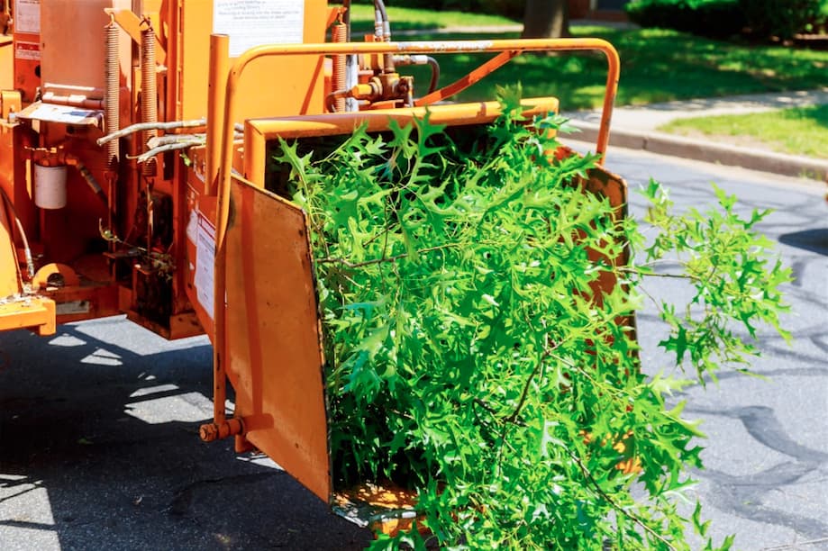 Wood Sacramento T﻿re﻿e S﻿erv﻿ice﻿s