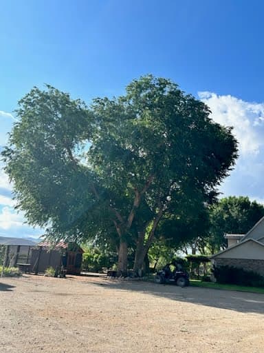 Seven Trees Company, LLC