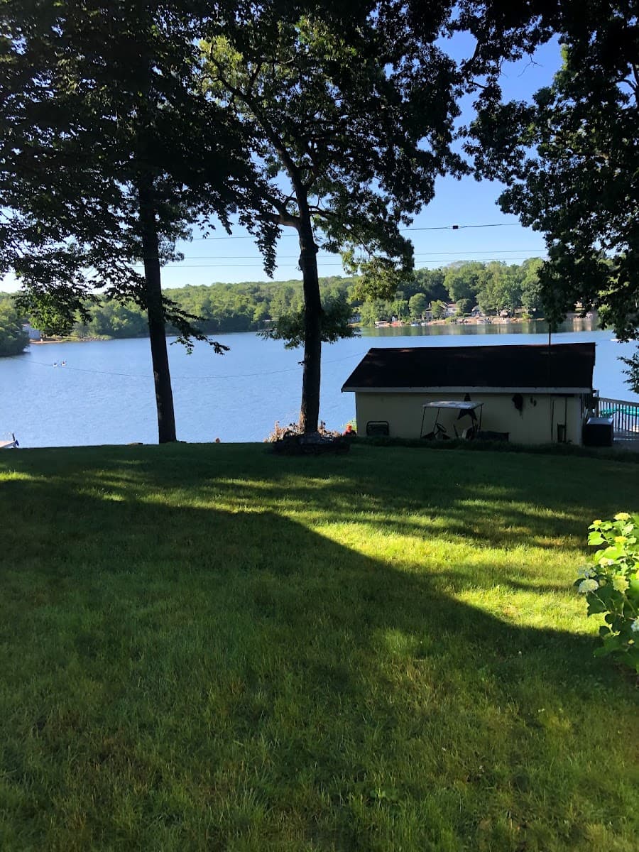 Autumn Leaves Tree Removal