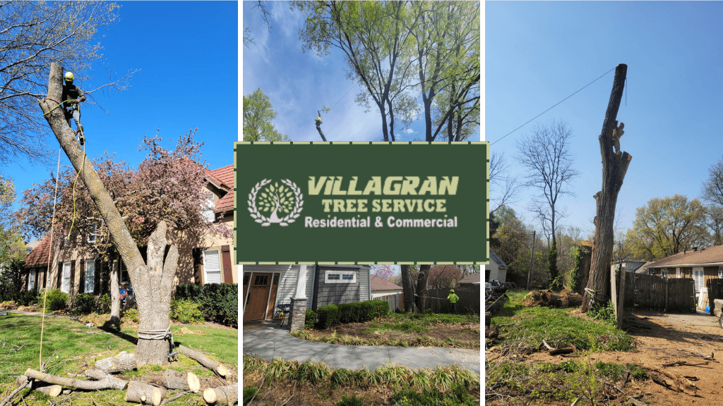Villagran Tree Service LLC