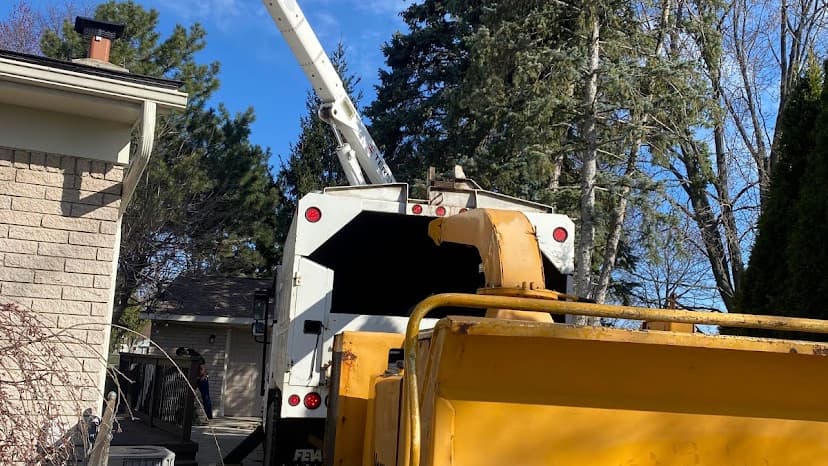 Trspros LLC Stump Grinding/ tree service