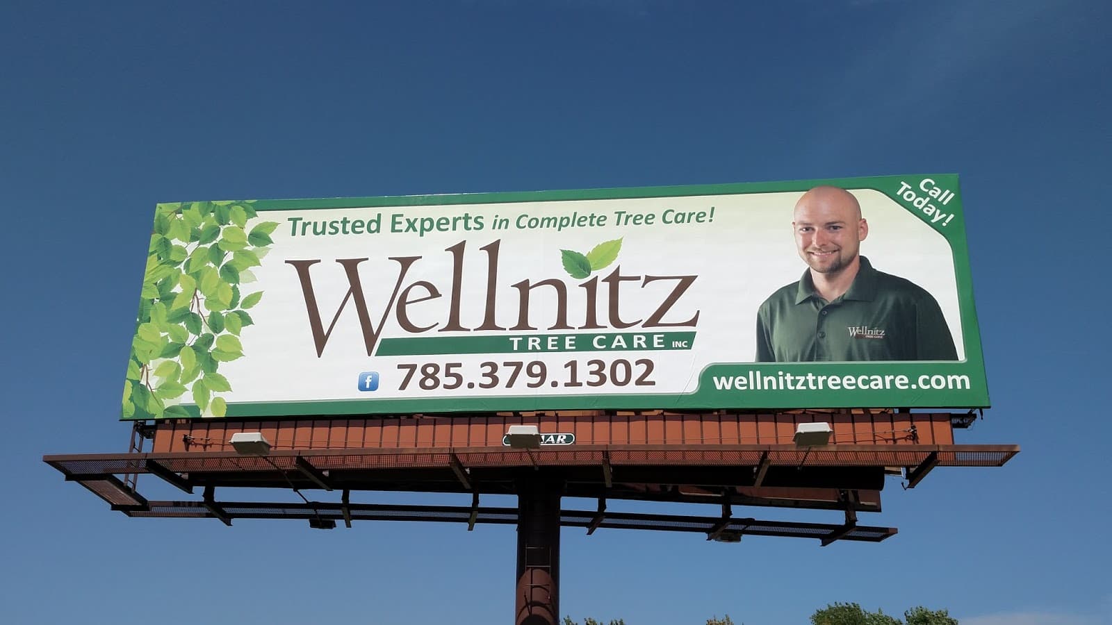 Wellnitz Tree Care