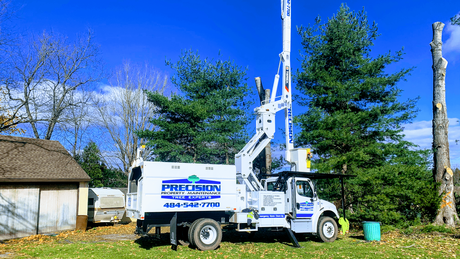 Precision Tree Experts