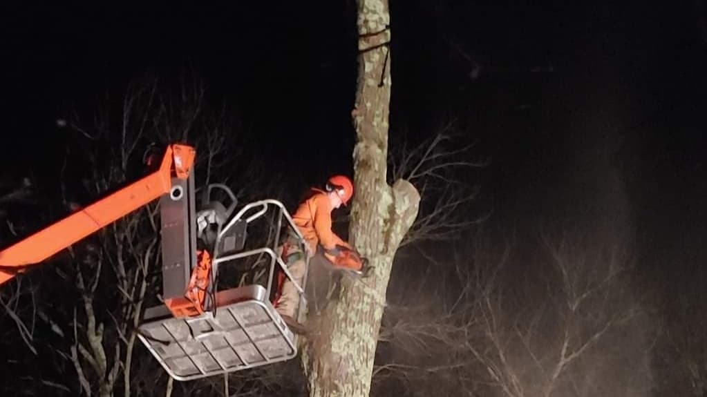 Highland Tree Services JRFV