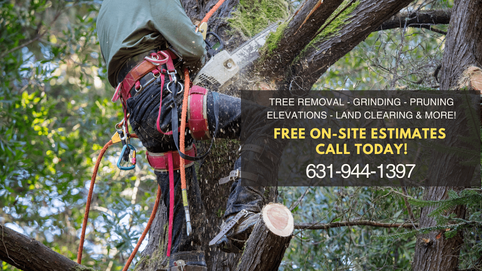 Alberto's Tree Service
