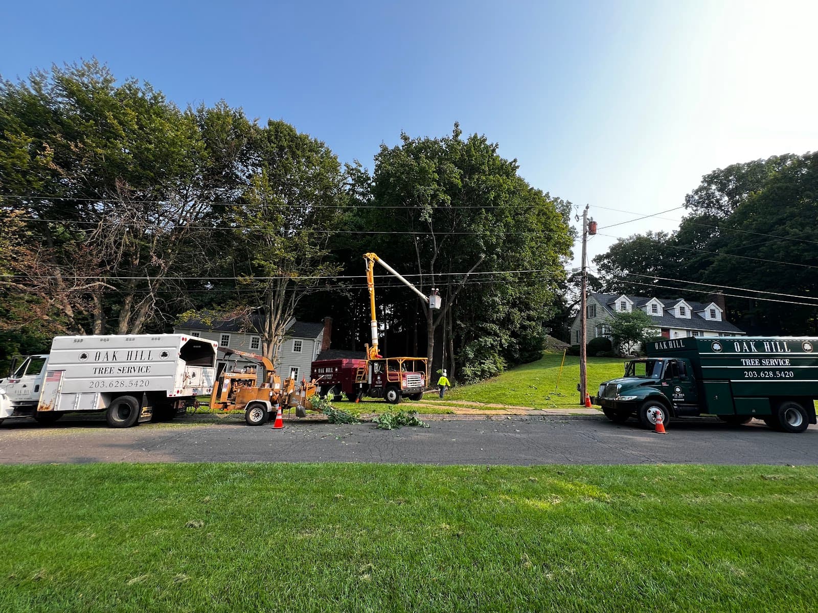 Oak Hill Tree Service LLC