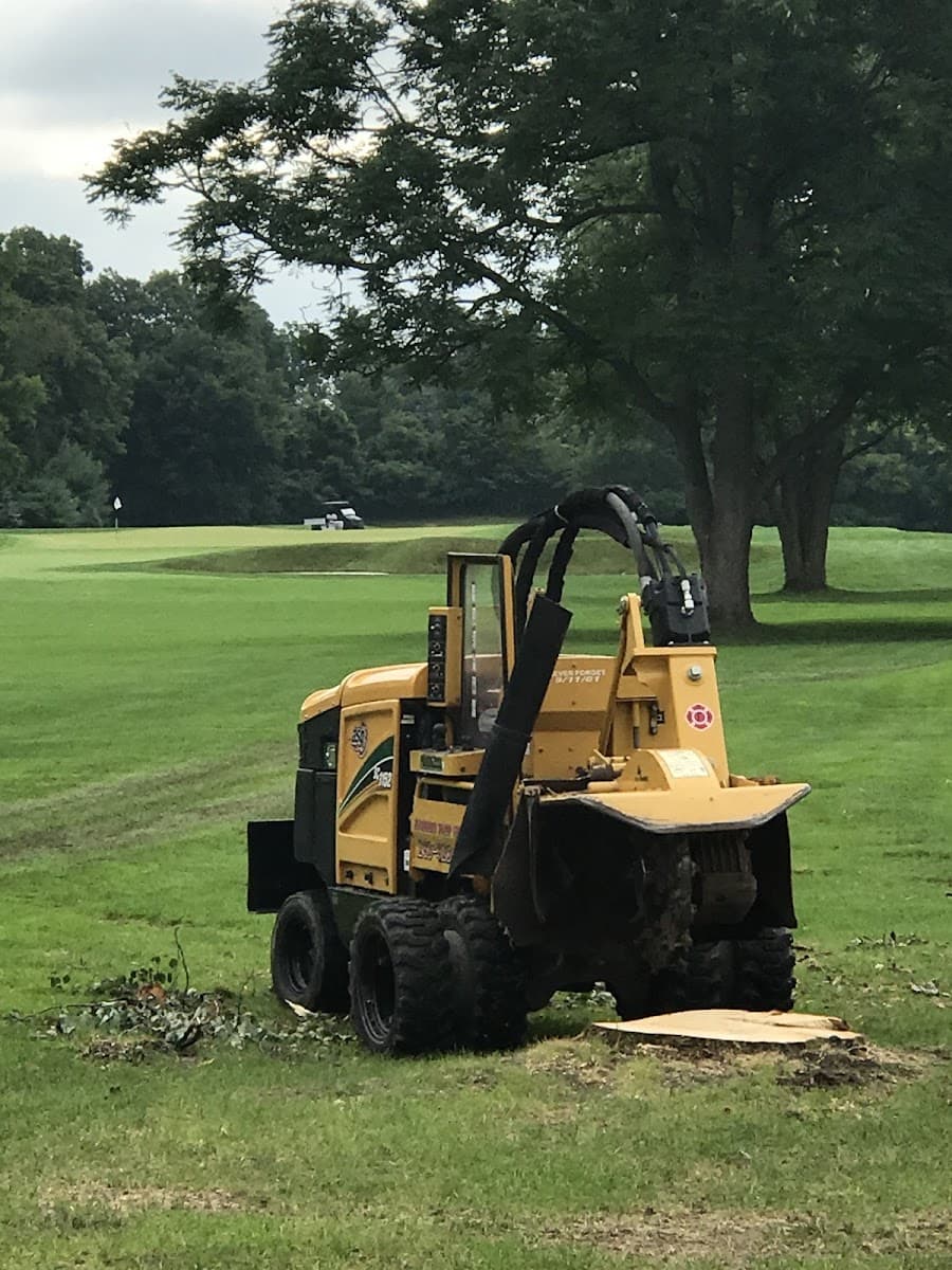 Affordable Stump Grinding