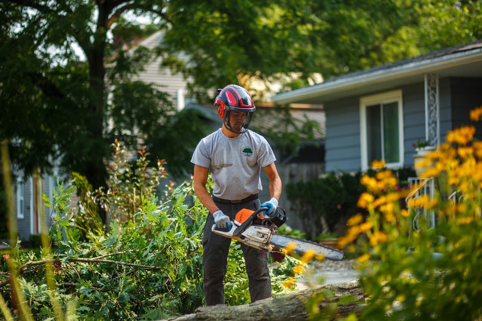 Brandenberger Tree Care Professionals LLC