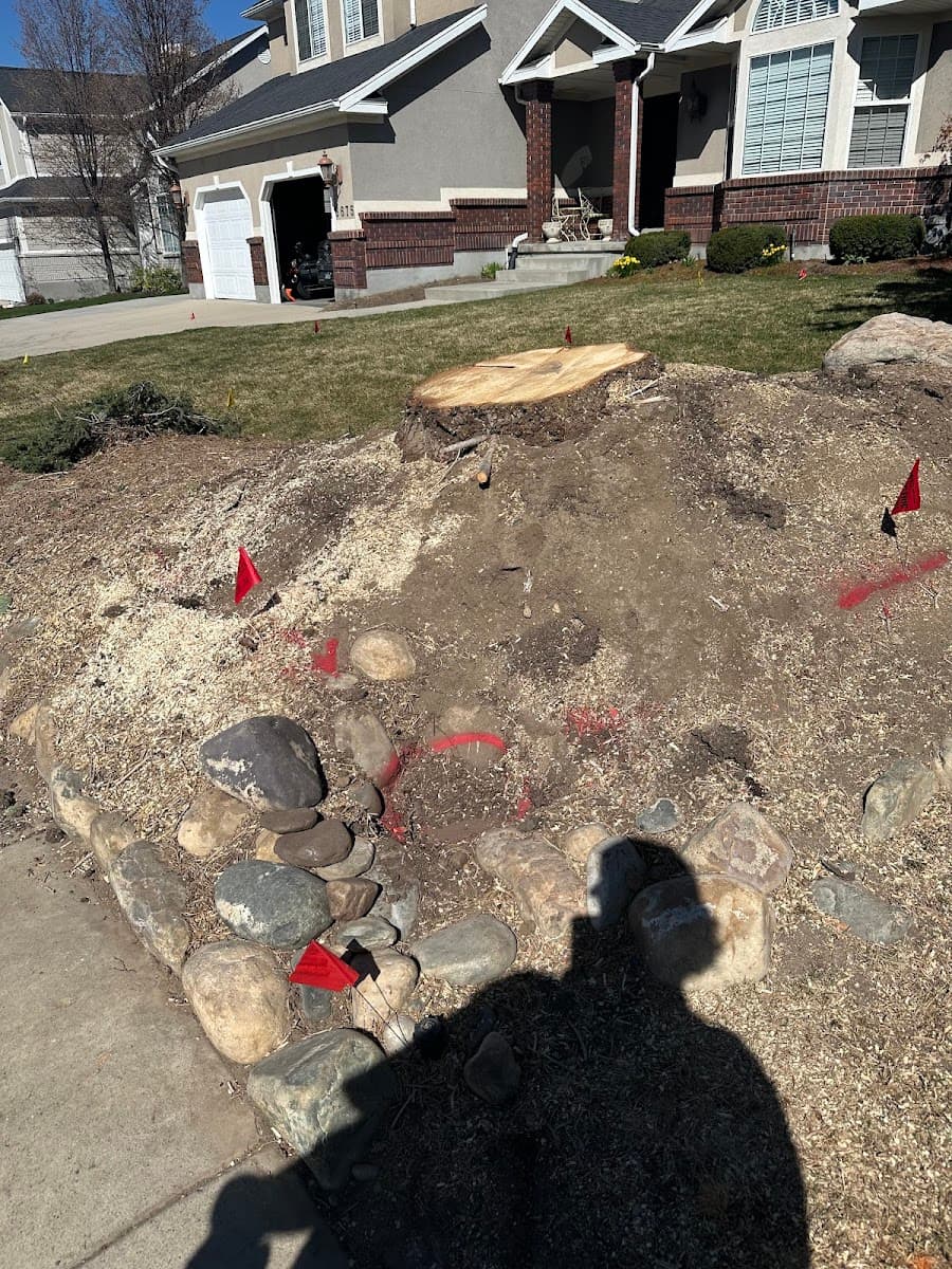 GrindTime Stump Grinding