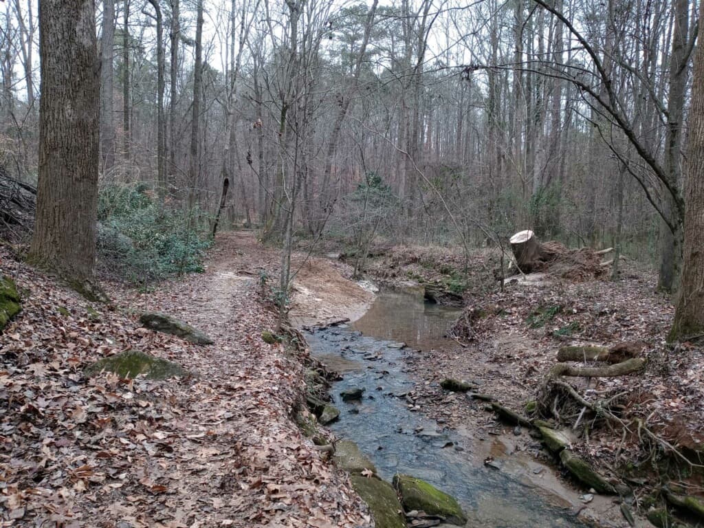 Trees of Georgia, Inc.