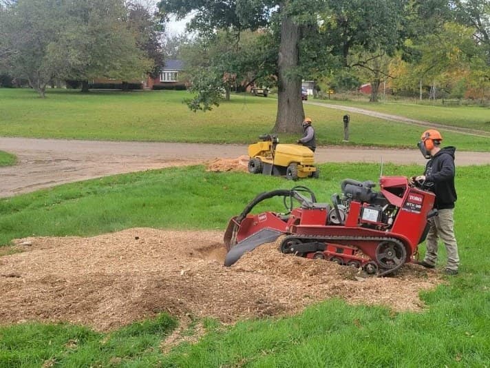 NXT LVL STUMP REMOVAL AND TREE SERVICE,LLC