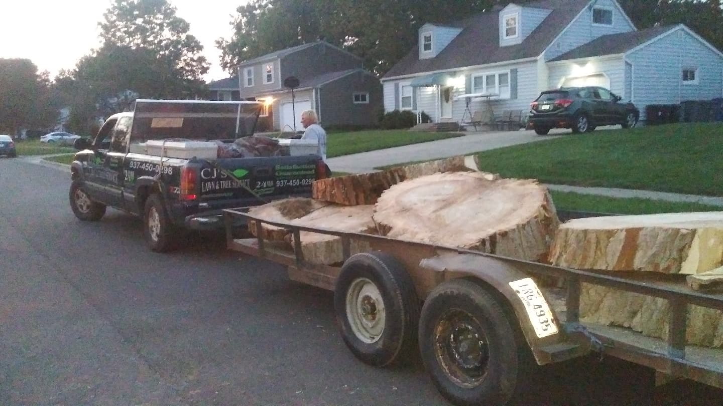 Cj's Lawn And Tree Service