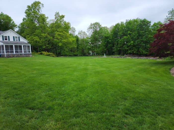 SavATree - Tree Service & Lawn Care