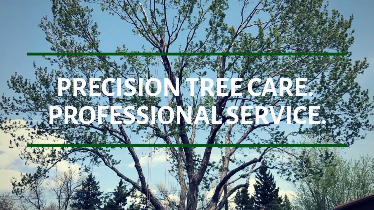 Green Empire Tree Service LLC