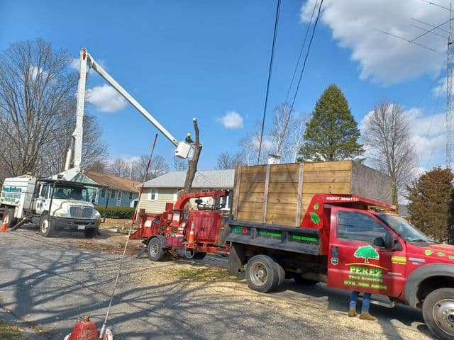 Perez Tree Service & Hardscaping