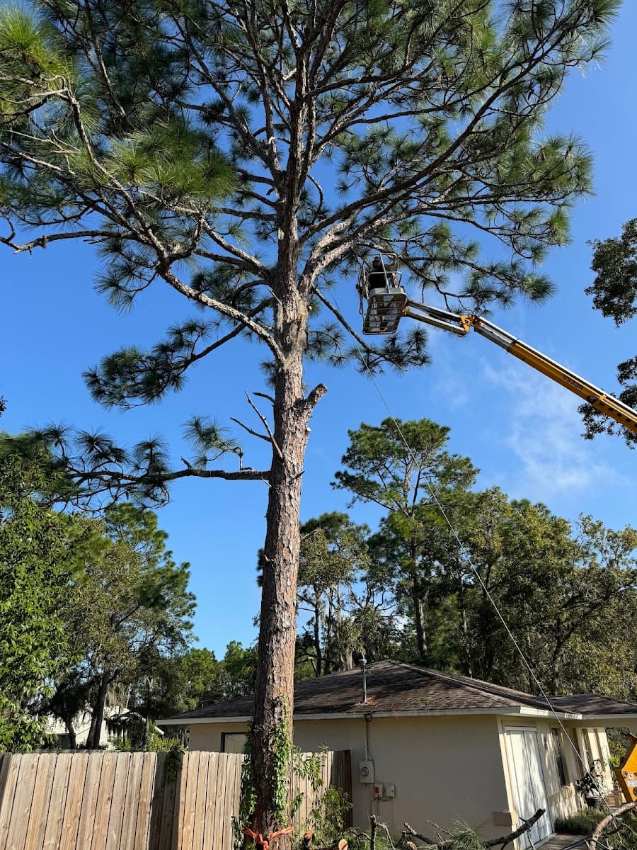 Premiere Land Transformations